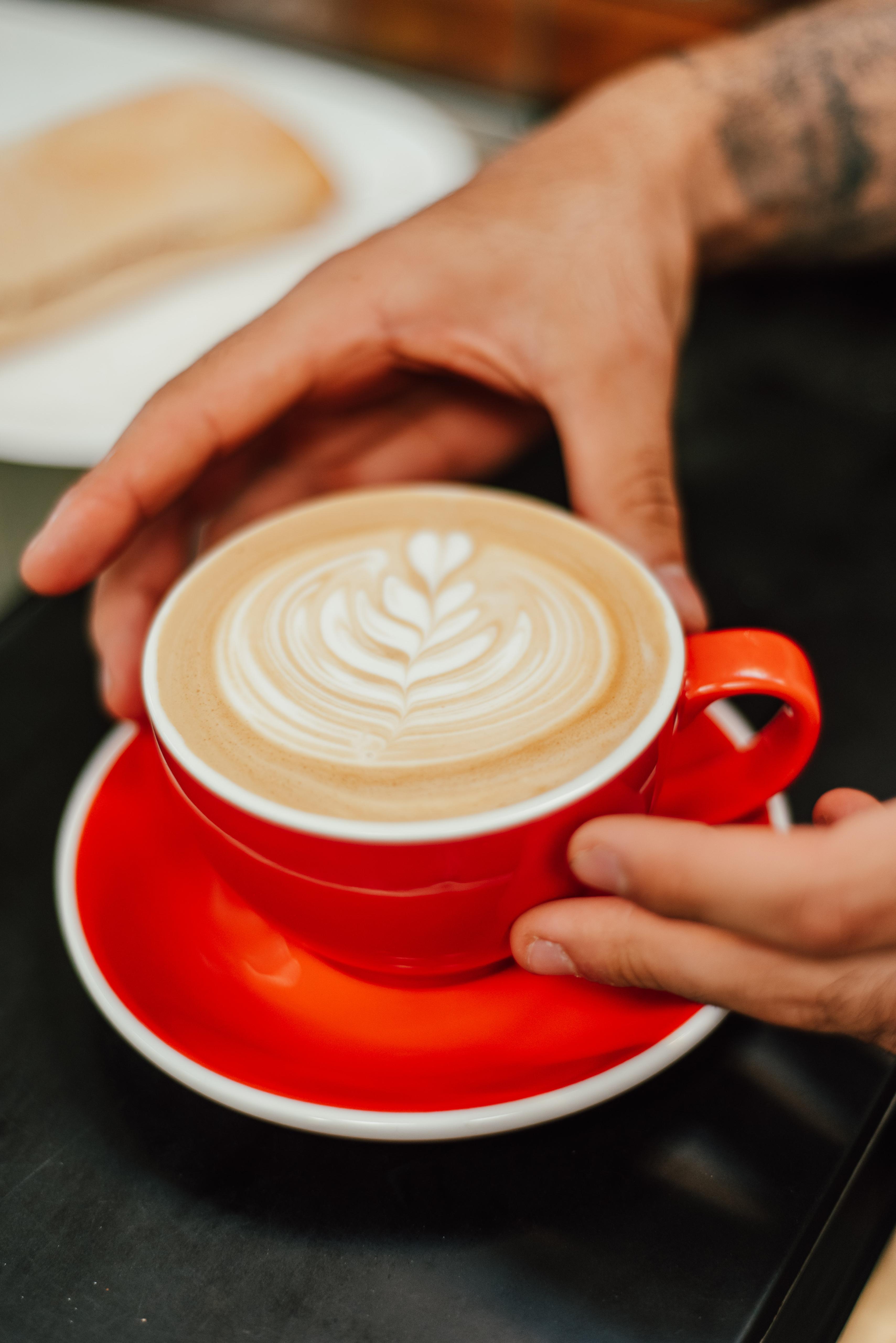 Curso Profesional de Barista (Centro)